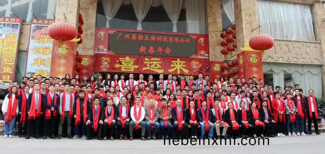 藍勃生物(wu)2018年度錶(biao)彰(zhang)暨2019新(xin)年糰拜(bai)會